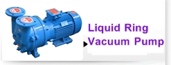 Liquid Ring Vacuum Pump